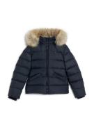 TOMMY HILFIGER Talvitakki 'ESSENTIAL'  marine / cappuccino / punainen ...