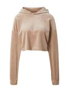 Urban Classics Collegepaita  tummabeige