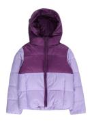 Champion Authentic Athletic Apparel Talvitakki  lila / tummanvioletti