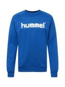 Hummel Urheilullinen collegepaita  sininen / valkoinen