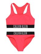 Calvin Klein Swimwear Bikini  harmaa / vaaleanpunainen / musta