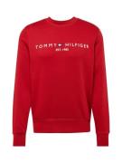 TOMMY HILFIGER Collegepaita  laivastonsininen / punainen / valkoinen