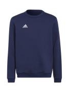 ADIDAS PERFORMANCE Urheilullinen collegepaita 'Entrada 22'  marine / v...