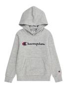 Champion Authentic Athletic Apparel Collegepaita  laivastonsininen / m...