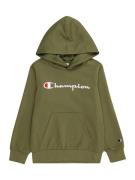 Champion Authentic Athletic Apparel Collegepaita  oliivi / punainen / ...