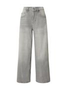 BDG Urban Outfitters Farkut 'JAYA'  harmaa denim