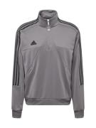 ADIDAS SPORTSWEAR Urheilullinen collegepaita 'TIRO'  tummanharmaa / mu...