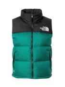 THE NORTH FACE Liivi '1996 RETRO NUPTSE'  smaragdi / musta / valkoinen