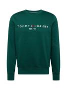 TOMMY HILFIGER Collegepaita  laivastonsininen / tummanvihreä / punaine...