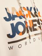 JACK & JONES Collegepaita 'JJLuke'  vaaleabeige / safiiri / suklaa / o...