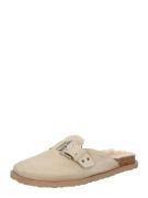 STEVE MADDEN Pistokkaat 'Evergreen'  beige