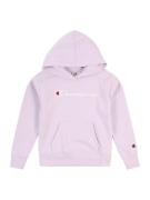 Champion Authentic Athletic Apparel Collegepaita  malva / punainen / v...