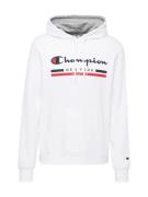 Champion Authentic Athletic Apparel Collegepaita  meleerattu harmaa / ...