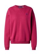 Polo Ralph Lauren Collegepaita  fuksia