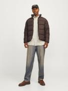 JACK & JONES Talvitakki 'JJMOON'  tummanruskea