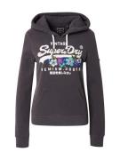 Superdry Collegepaita  sininen / harmaa / vihreä / valkoinen