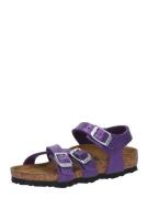 BIRKENSTOCK Sandaalit 'Kumba'  tummanvioletti