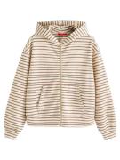 Next Collegetakki  beige / ruskea