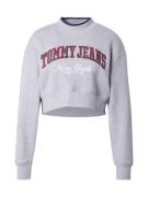 Tommy Jeans Collegepaita  harmaa