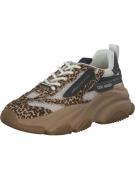 STEVE MADDEN Matalavartiset tennarit 'Posessionl'  beige / musta