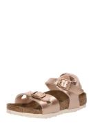 BIRKENSTOCK Sandaalit 'Rio'  kupari