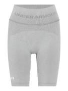 UNDER ARMOUR Urheiluhousut  harmaa / valkoinen