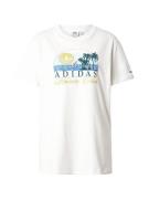 ADIDAS ORIGINALS Paita 'ISLAND CLUB'  sininen / keltainen / tummanvihr...