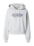 Abercrombie & Fitch Collegepaita  laivastonsininen / vaaleanharmaa