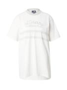ELLESSE Paita 'THONES'  vaaleanharmaa / vaaleanvihreä / offwhite