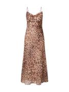 Bardot Mekko 'MONROE'  karamelli / cappuccino / tummanruskea