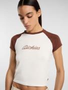 DICKIES Paita 'DICKIES'  cappuccino / valkoinen