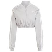 ADIDAS ORIGINALS Välikausitakki 'Adicolor Teamgeist'  vaaleanharmaa / ...