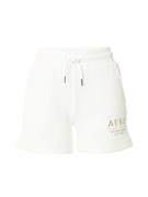 AÉROPOSTALE Housut  ruskea / offwhite