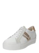 Paul Green Matalavartiset tennarit  beige / pronssi / vaaleanharmaa / ...
