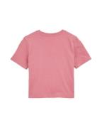 WE Fashion Paita  laivastonsininen / tummanvihreä / vaalea pinkki / ki...