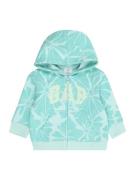 GAP Collegetakki  turkoosi / keltainen / minttu