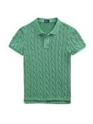 Polo Ralph Lauren Neulepaita  sininen / ruoko
