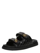 STEVE MADDEN Pistokkaat 'Schmona-CN'  kulta / musta