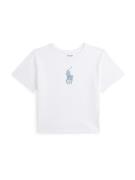 Polo Ralph Lauren Paita  kuninkaallisen sininen / keltainen / vaaleanp...