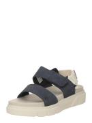 TIMBERLAND Sandaalit 'GREYFIELD'  yönsininen / valkoinen