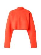 3.1 Phillip Lim Neulepaita  punainen