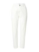 Dorothy Perkins Farkut 'Kimberley'  valkoinen