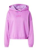 GAP Collegepaita  lila / tummanvioletti