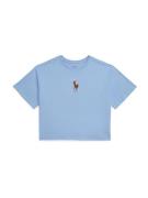 Polo Ralph Lauren Paita  vaaleansininen / ruskea / roosa / valkoinen