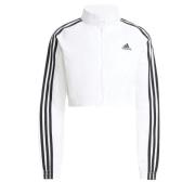 ADIDAS ORIGINALS Välikausitakki 'Teamgeist Adicolor'  musta / valkoine...