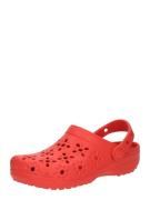 Crocs Juhlakengät 'Classic'  kirkaanpunainen