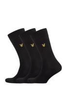 Angus Black Lyle & Scott