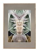 Vintage Reflection Cc4 Patterned ChiCura