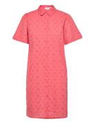 Margosz Dress Pink Saint Tropez