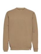 Sweatshirt Brown Enkel Studio